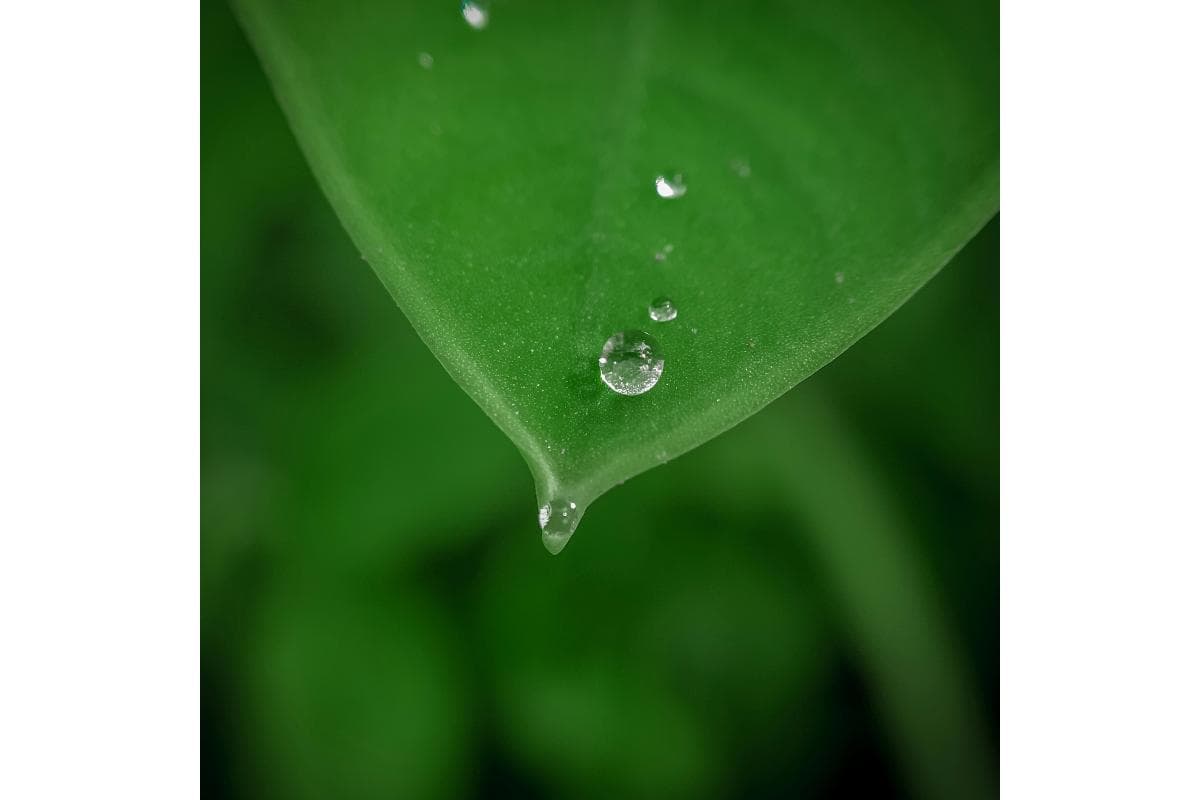 The Invisible Essential: Why Lube is the Key to Luxury