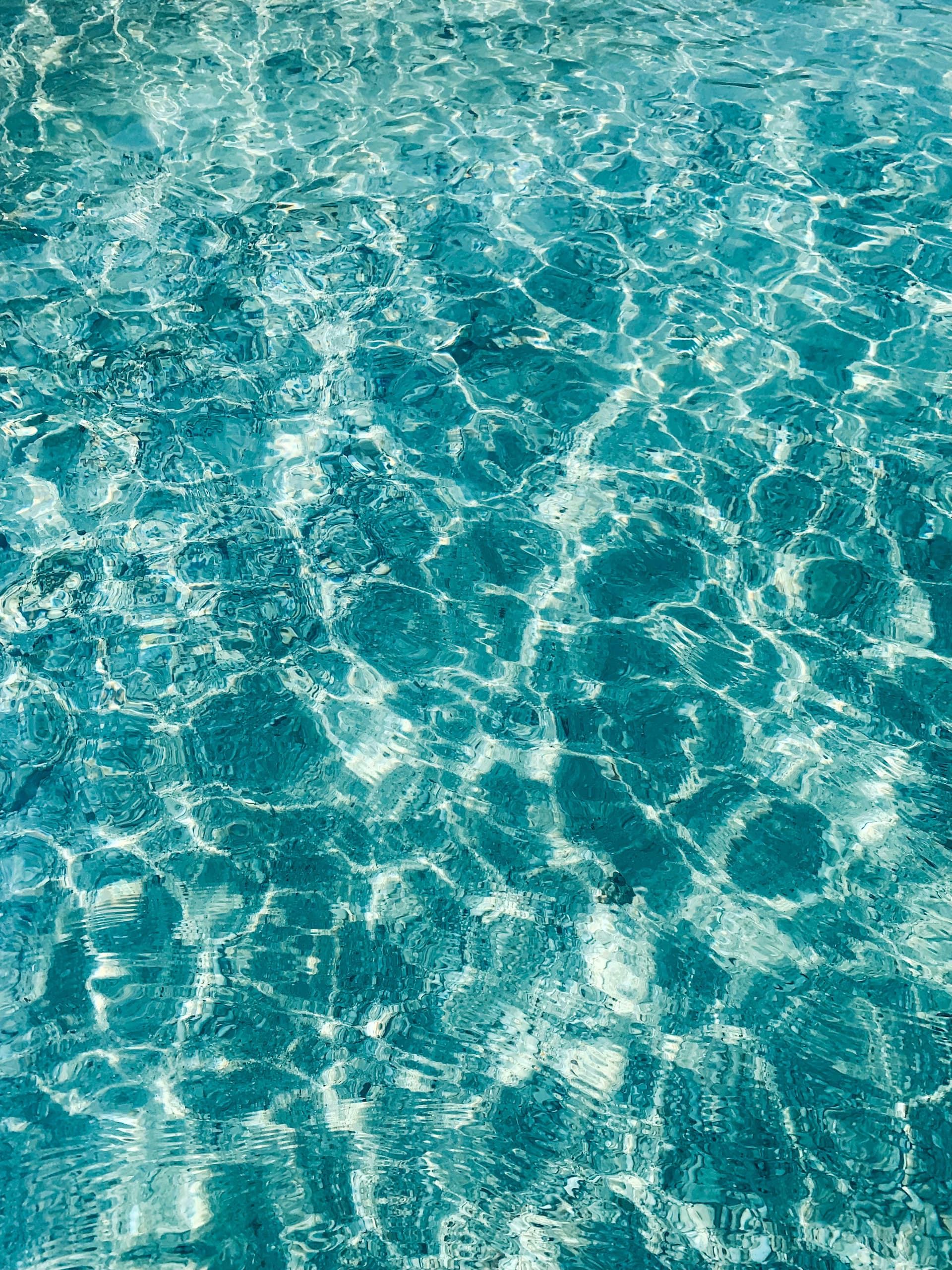 The MythToy Standard: Why We Reject TPR and Jelly